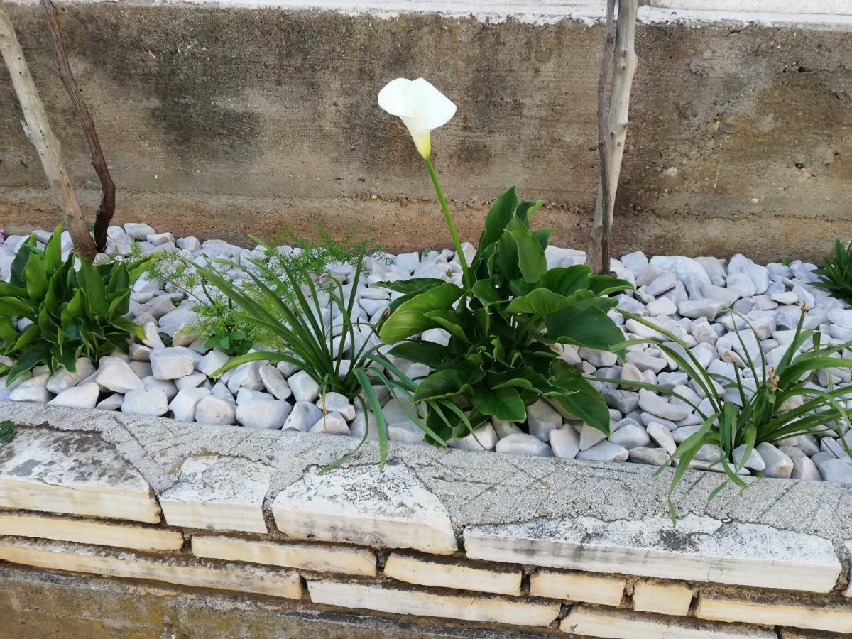 Apartman 1 Zadar Exterior foto