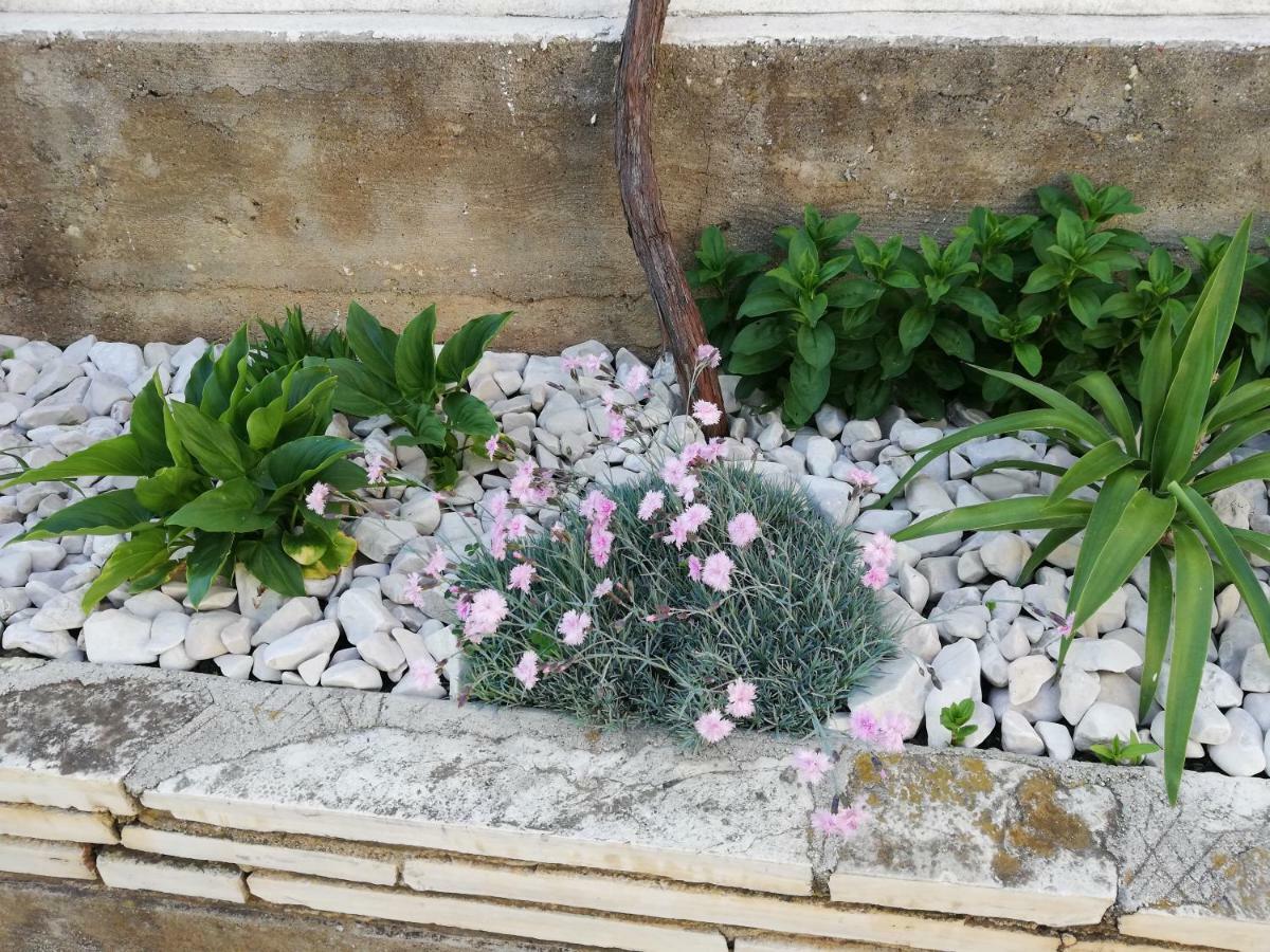 Apartman 1 Zadar Exterior foto