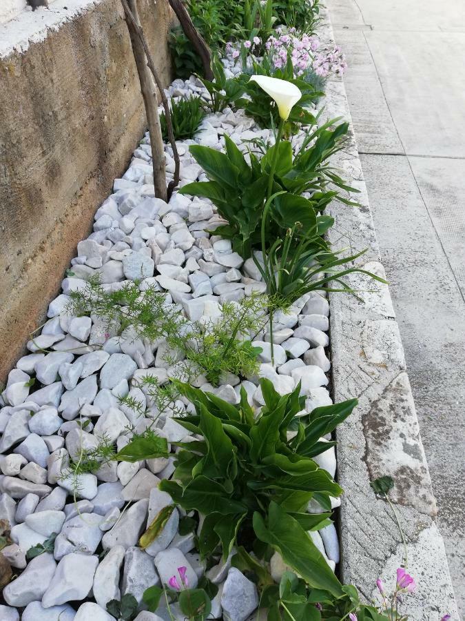 Apartman 1 Zadar Exterior foto